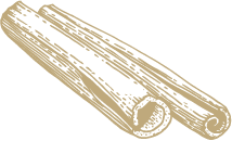 cinnamon stick vector
